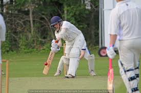 Image result for Old Woking Cricket Club