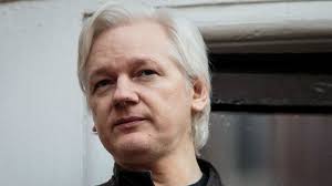 Image result for assange