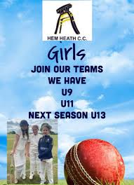 Image result for Hem Heath Cricket Club