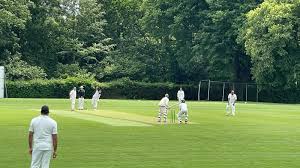 Image result for Basingstoke & North Hants Cricket Club