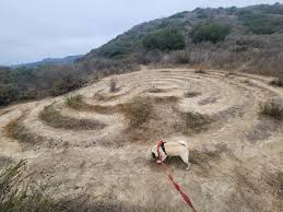 Image result for Polegate Rambling Club