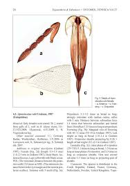 Attēlu rezultāti vaicājumam “Lasioptera rubi larva”