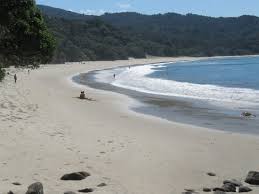 Image result for new chums beach