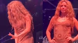 Resultado de imagem para "shakira" calcinha