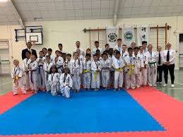 Image result for Swindon Tagb Tae Kwon Do School