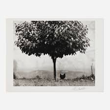 Image result for edouard boubat