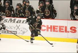 Image result for Demons Skater Hockey Club