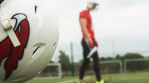 Image result for Ukc Falcons