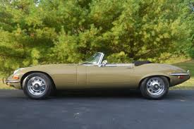 Image result for Fern Gray 1976 Jaguar