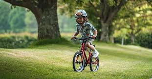 Image result for A-bike