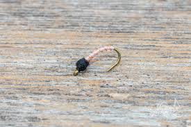 Attēlu rezultāti vaicājumam “nymph”