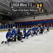 Image result for Haringey Junior Ice Hockey Club