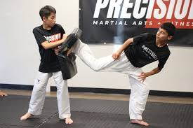 Image result for Precision Martial Arts