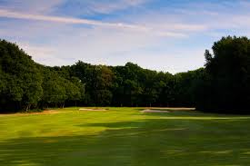 Image result for Brokenhurst Manor Golf Club