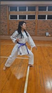 Image result for Devonport Shotokan Karate Club
