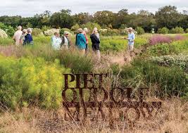 Image result for Piet Oudolf