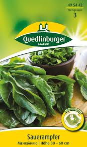 Image result for Sauerampfer