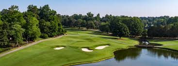 Image result for Gosfield CC