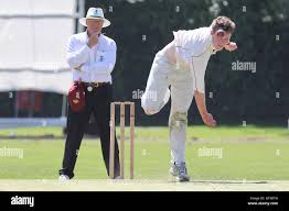 Image result for Hadleigh & Thundersley Cricket Club