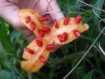 <b>Momordica charantia</b>, <b>Momordica</b>