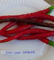 Afbeeldingsresultaat voor joe long cayenne hot pepper