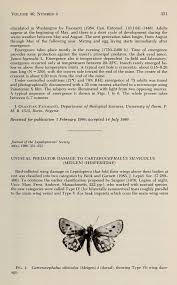 Attēlu rezultāti vaicājumam “Carterocephalus silvicolus”