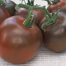 Afbeeldingsresultaat voor debarro black tomato