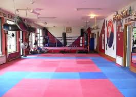 Image result for KIXX Martial Arts