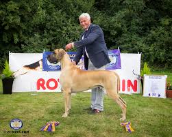 Image result for Great Dane Handball Club, Wapping, London