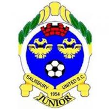 Image result for Salisbury Junior Badminton Club