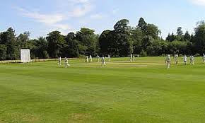 Image result for Chipstead Coulsdon & Walcountians Cc