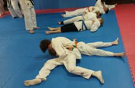 Image result for Rainham Judo Club