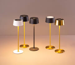 Attēlu rezultāti vaicājumam “Lamproderma debile”