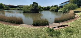 Image result for Crowthorne Angling