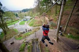Image result for Go Ape! Dalby