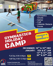 Image result for Lynx Gymnastics Club