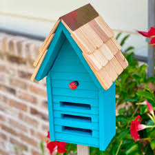 Image result for ladybug house