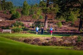 Image result for Hankley Common Golf Club
