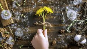 Image result for diente de leon