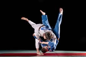 Image result for AAZENTAI JU JITSU
