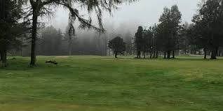 Image result for Hazlehead Golf Club