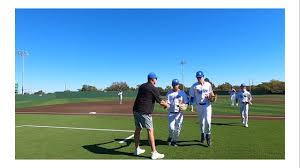 Afbeeldingsresultaat voor panters