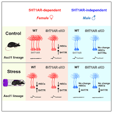 Image result for %E1%83%99%E1...tart=40