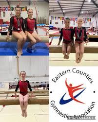 Image result for Sudbury Gymnastics Club