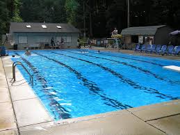 Image result for Downham & District Swimming Club