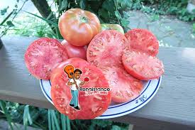 Afbeeldingsresultaat voor stump of the world tomato