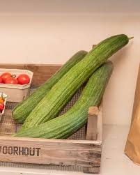 Image result for Gurke