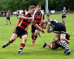 Image result for Westgate Wolves A.R.L.F.C.