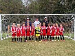 Image result for Phoenix Old Boys Football Club