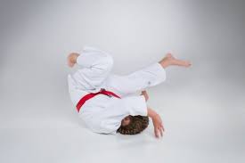 Image result for Haslemere Karate Club